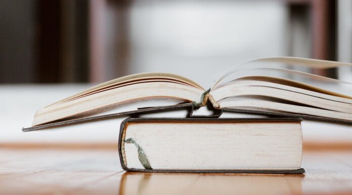 Книжкові рекомендації: топ-5 книг для жіночого саморозвитку та натхнення