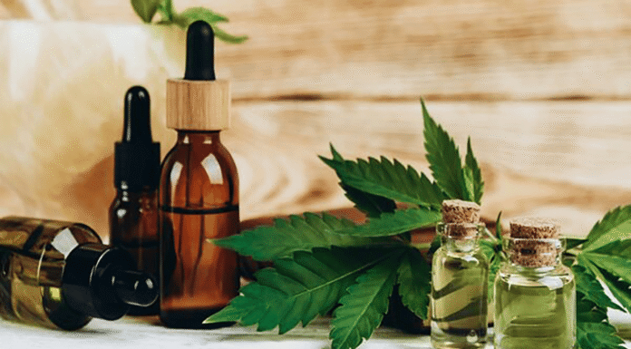 Як КБД взаємодіє з травною системою